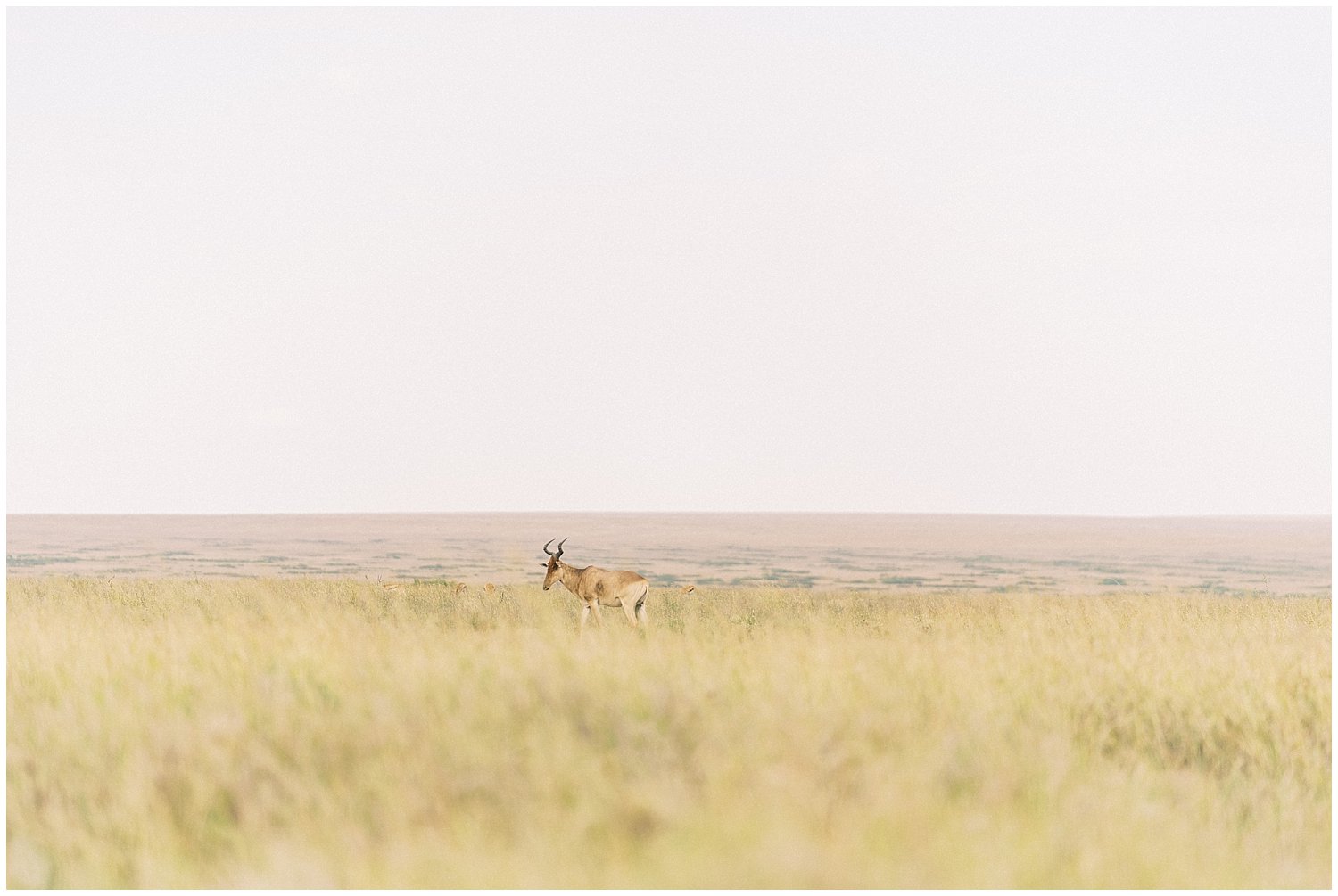Kenya and Tanzania Safari- Fine Art Photographer