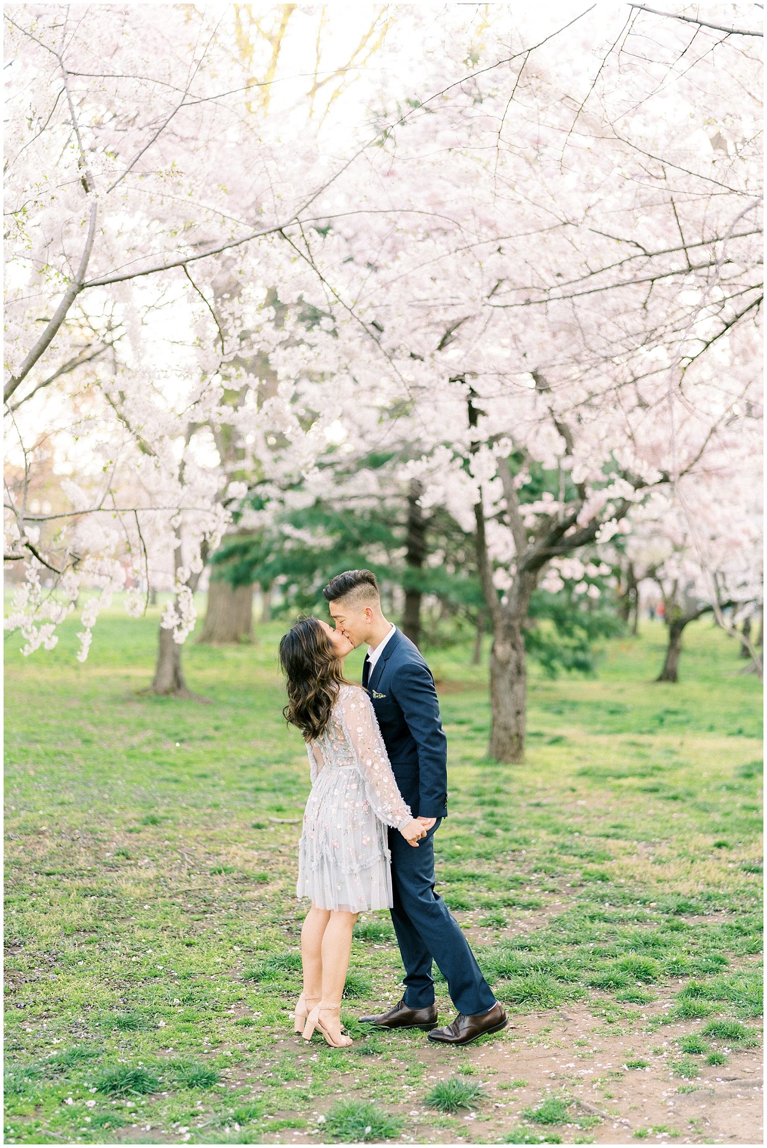 DC Cherry Blossom Engagement Photographer