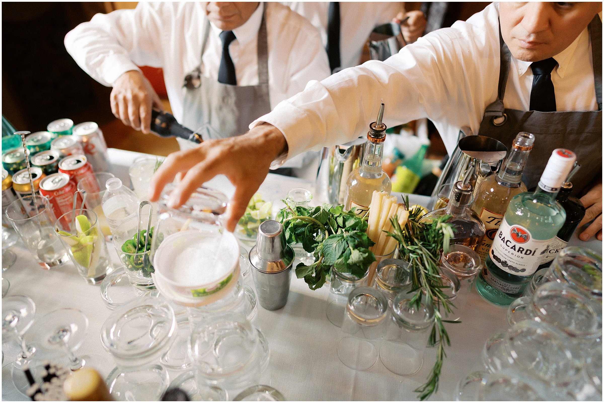 Wedding cocktail hour in Olmstead Gallery, Larz Anderson House in Washington DC